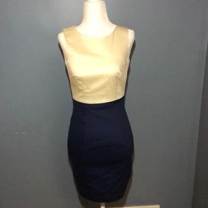 H&M cream and navy dress